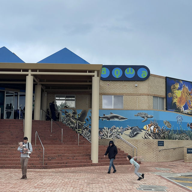 AQWA The Aquarium Of Western Australia
