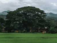 เมืองคอง จ.เชียงใหม่