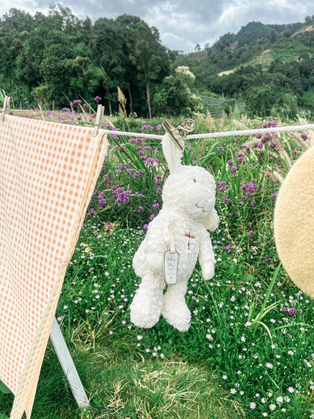 JINJU the orange farm สวนส้มเชียงใหม่ฟีลเกาหลี