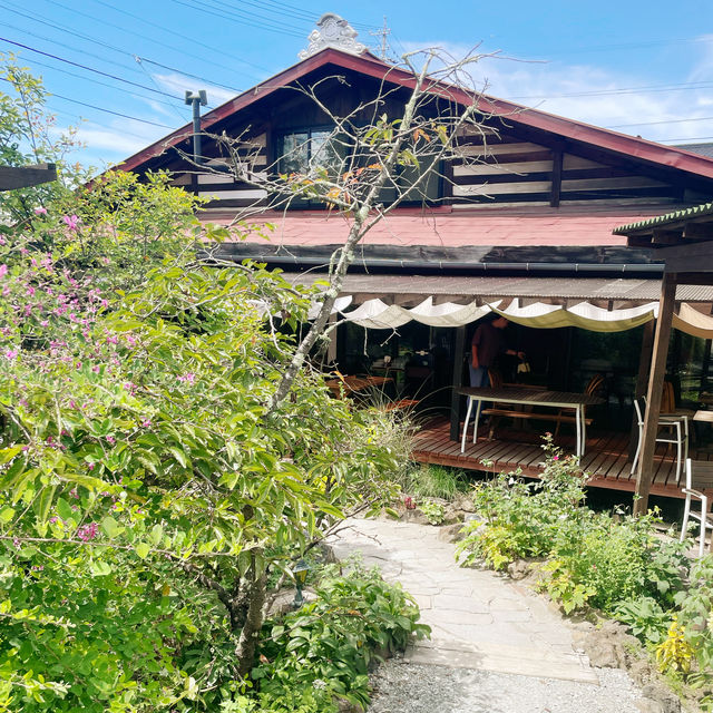 【長野県/茅野　森の中にいるような🌿オシャレなイタリアンレストラン🍽️】