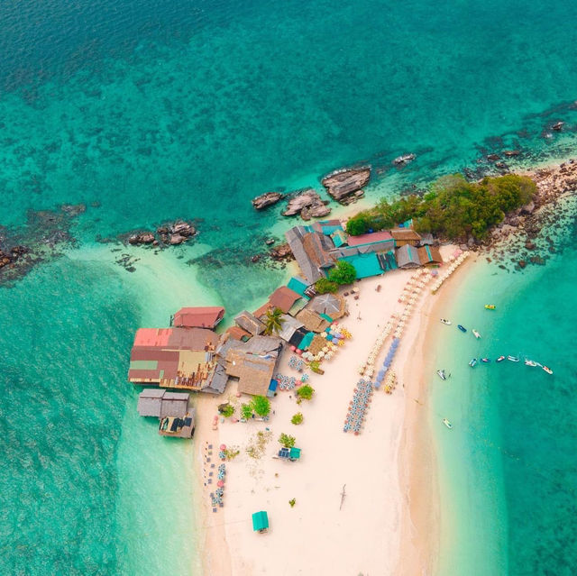 เกาะแมว สวรรค์ของเหล่าทาส! 🐈🏝