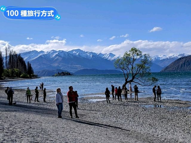 紐西蘭南島-佇立於瓦納卡湖中的孤獨之樹：that wanaka tree