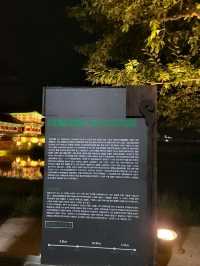 경주의 가장 아름다운 야경을 볼수있는 곳✨️