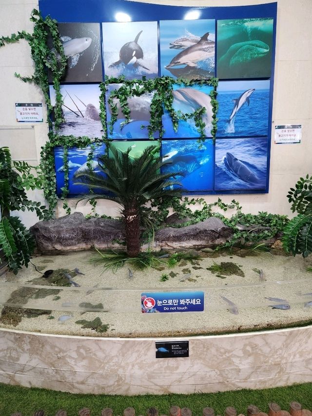 3D체험이 가능한 가을여행지 장생포생태체험관👍