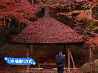 小石川後樂園🍁日式古香庭院