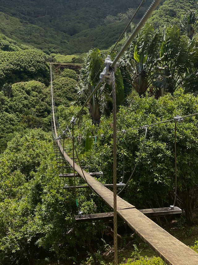 The scariest bridge I’ve ever crossed 🫣