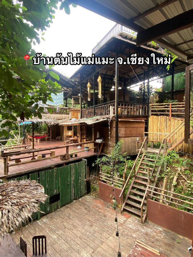 📍บ้านต้นไม้แม่แมะ จ.เชียงใหม่