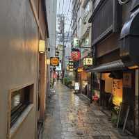 Hozenji Yokocho Alley