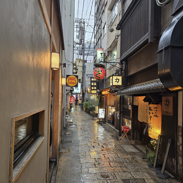 Hozenji Yokocho Alley