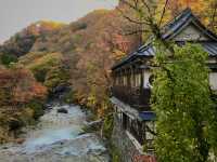 ธรรมชาติที่มหัศจรรย์สร้าง🍁”Takaragawa Onsen“