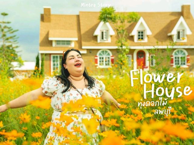 ทุ่งดอกไม้ เขาจีนแล Flower House ลพบุรี 