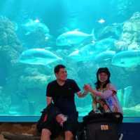 How I spent 1 day in Jakarta 