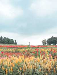【栃木】那須⌇那須フラワーワールド
