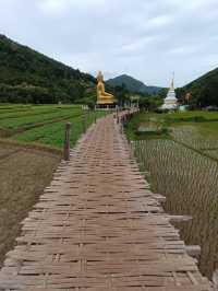 📍สูดโอโซนท่ามกลางธรรมชาติที่วัดนาคูหา แพร่