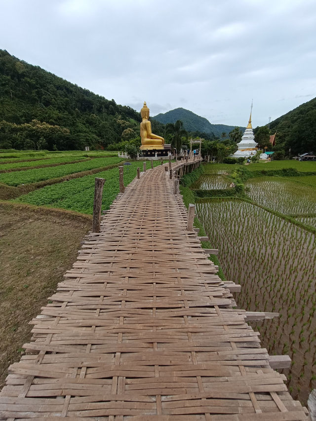📍สูดโอโซนท่ามกลางธรรมชาติที่วัดนาคูหา แพร่