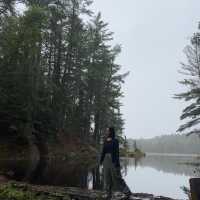 Algonquin park in Ontario, Canada
