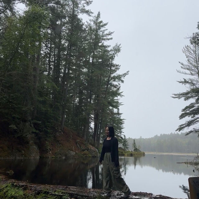 Algonquin park in Ontario, Canada