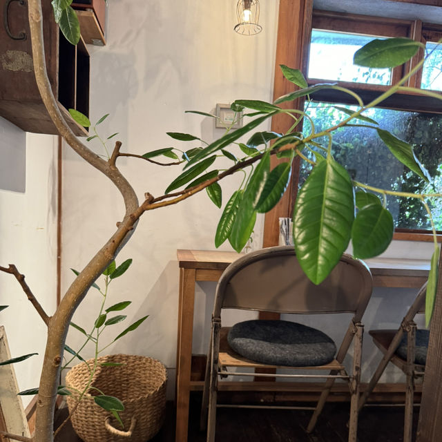 サクッとふんわりスコーンとテレビで紹介されたチャイ飲めるカフェ