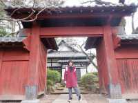 ⛩️วัดโกโตกุจิ โตเกียว วัดแมวกวัก Gotokuji Temple
