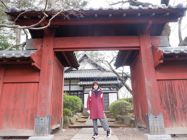 ⛩️วัดโกโตกุจิ โตเกียว วัดแมวกวัก Gotokuji Temple