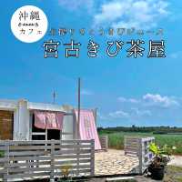 生搾り体験！？宮古島でいただくサトウキビジュース