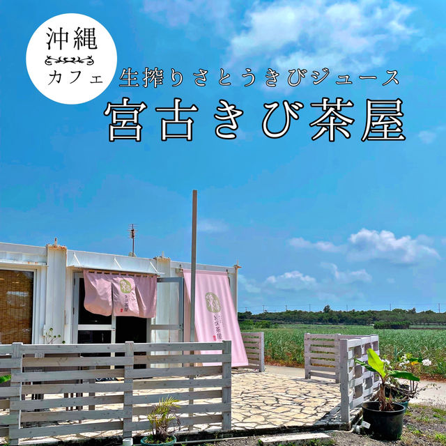 生搾り体験！？宮古島でいただくサトウキビジュース