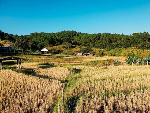 บ้านปลายดอย ขุนวาง ดอยอินทนนท์