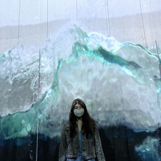 Immersive Delights at Arte M: A Serene Exploration