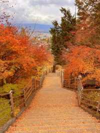 【山梨】富士山見ながら紅葉狩り