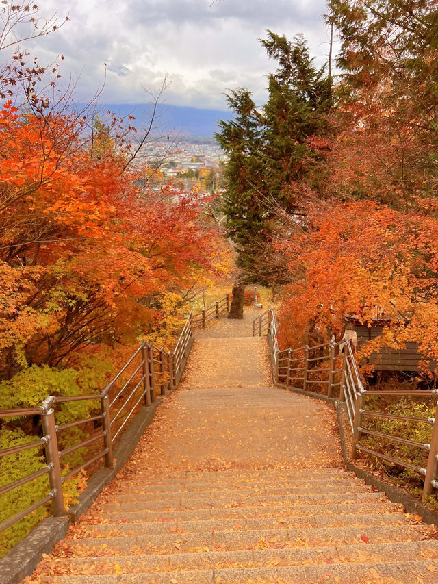 【山梨】富士山見ながら紅葉狩り
