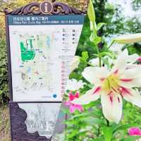 日比谷公園賞花💐💐💐💐💐💐
