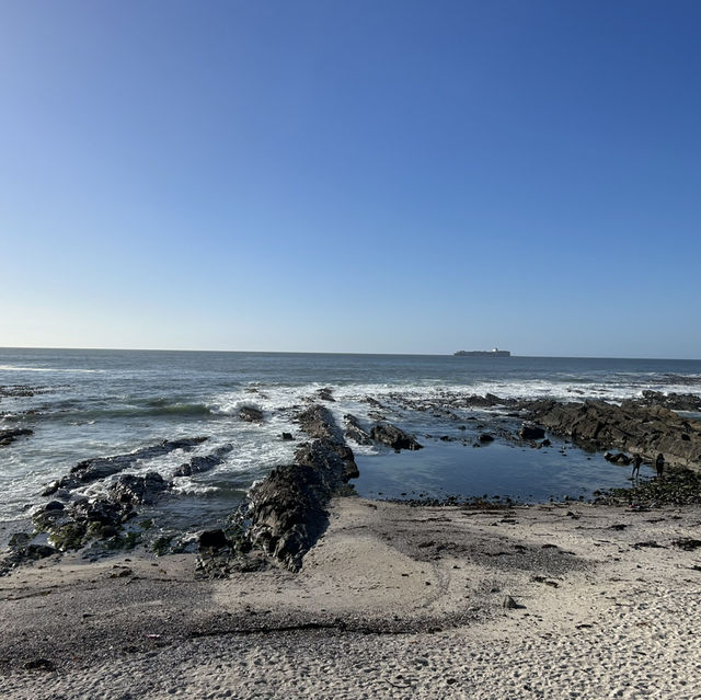 Oceanfront Bliss at Cape Town's Vibrant Sea Point