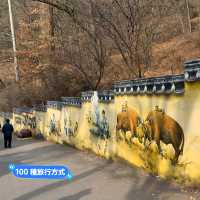 大邱 馬飛亭壁畫村