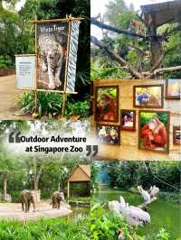 Outdoor Adventure at Singapore Zoo