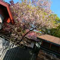 札幌護國神社