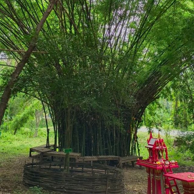 ถ้ำโบ้ (เขาอีบิด) Unseenเมืองเพชรบุรี