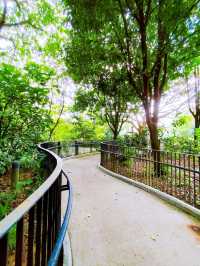 Relaxing Walk at Springleaf Nature Park