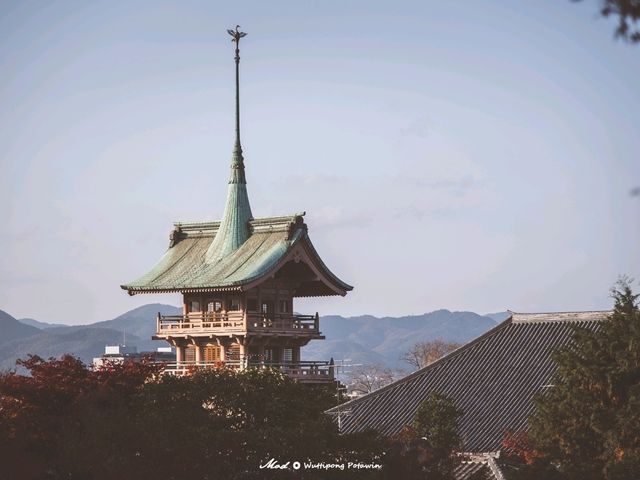 วัดโคไดจิ (Kodaiji)