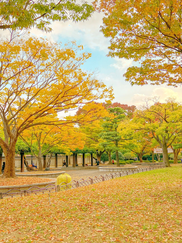 단풍 시즌 가야할 부산 단풍 명소 모음💛