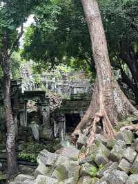 【カンボジア】ベンメリア遺跡