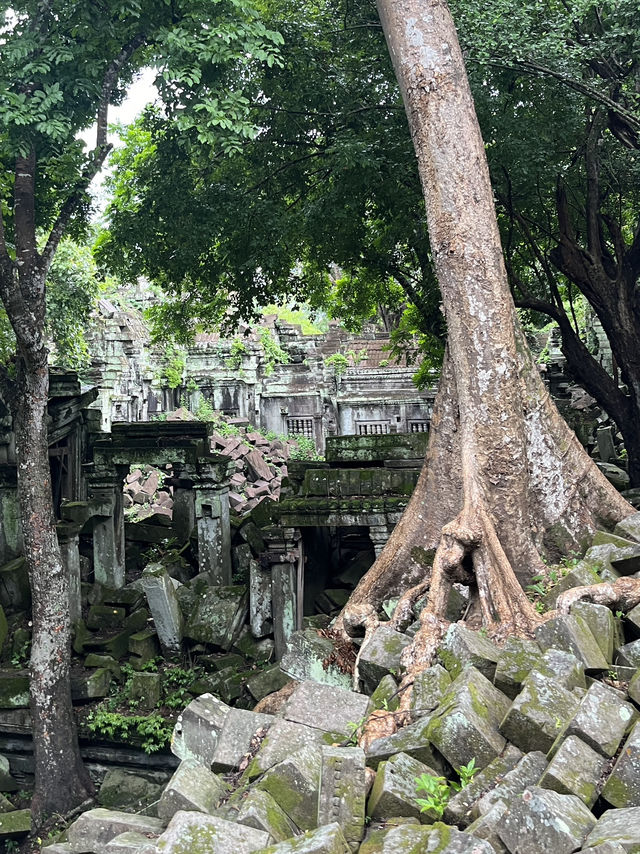 【カンボジア】ベンメリア遺跡