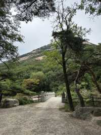 Fresh air and smell of pine trees in Bukhansan forest