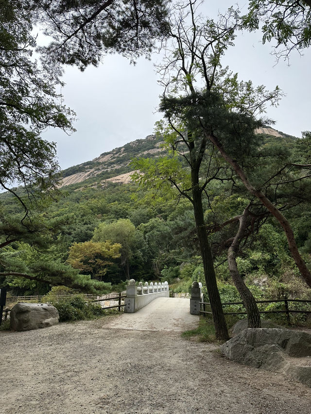 Fresh air and smell of pine trees in Bukhansan forest
