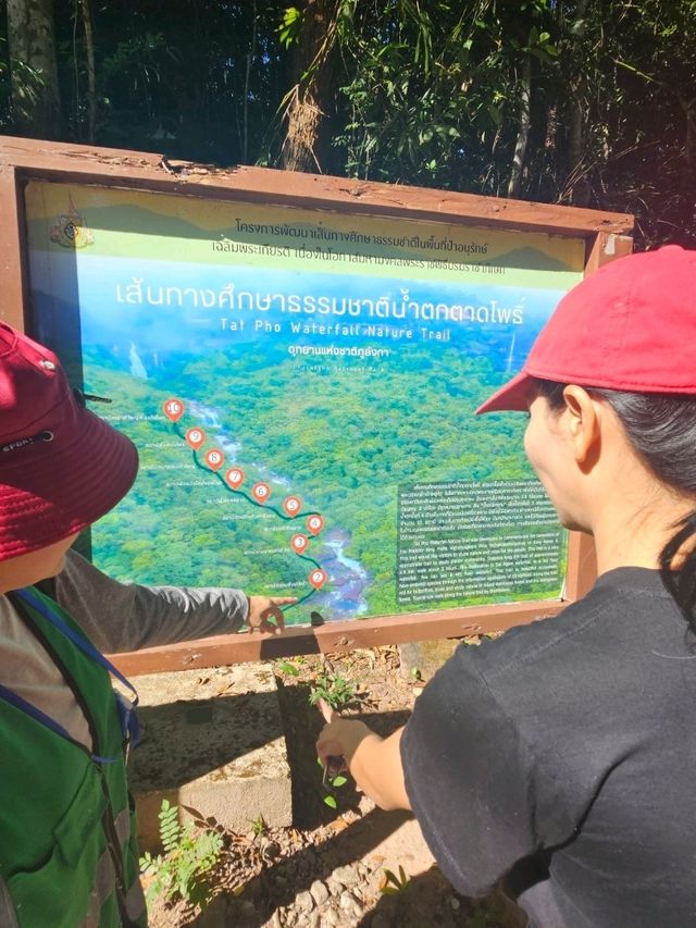 ถ้ำนาคี  เศรียรพญานาคทั้ง 9  นครพนม