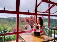 Phindeli Café