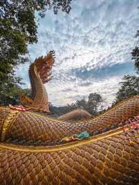 ชวนทุกคนเที่ยววัดที่อุดรธานี กับวัด ภูตะเภาทอง 