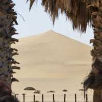 Dunes Of Africa 
