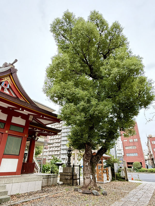 【東京都】色彩豊かな朱色の社殿