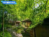 東大寺與梅花鹿，奈良2天1夜行程分享