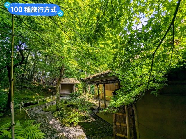 東大寺與梅花鹿，奈良2天1夜行程分享